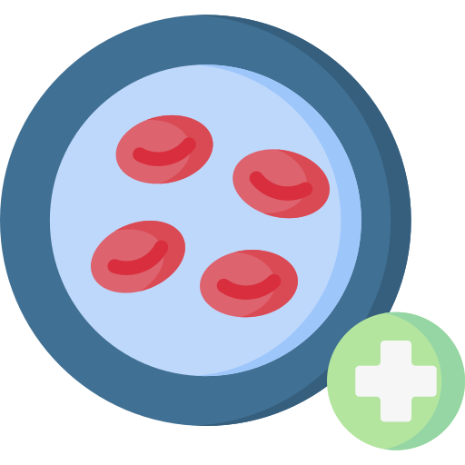 Haematology & BMT